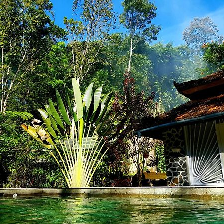 Mi Casa - The Gem Of Ijen Hotel Banyuwangi  Exterior foto