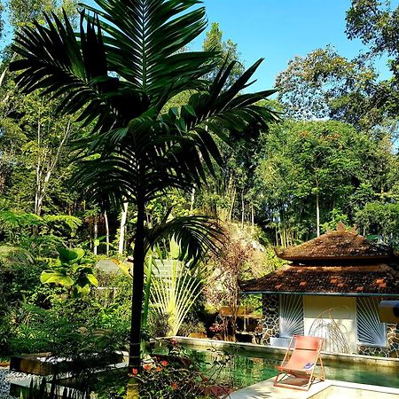 Mi Casa - The Gem Of Ijen Hotel Banyuwangi  Exterior foto