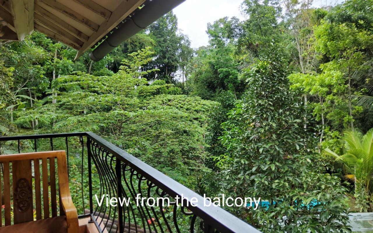 Mi Casa - The Gem Of Ijen Hotel Banyuwangi  Exterior foto