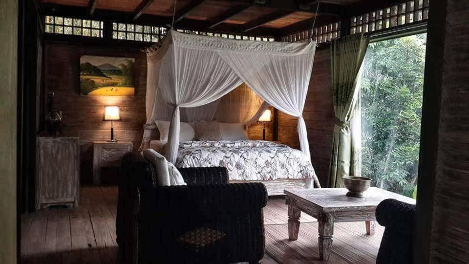 Mi Casa - The Gem Of Ijen Hotel Banyuwangi  Exterior foto