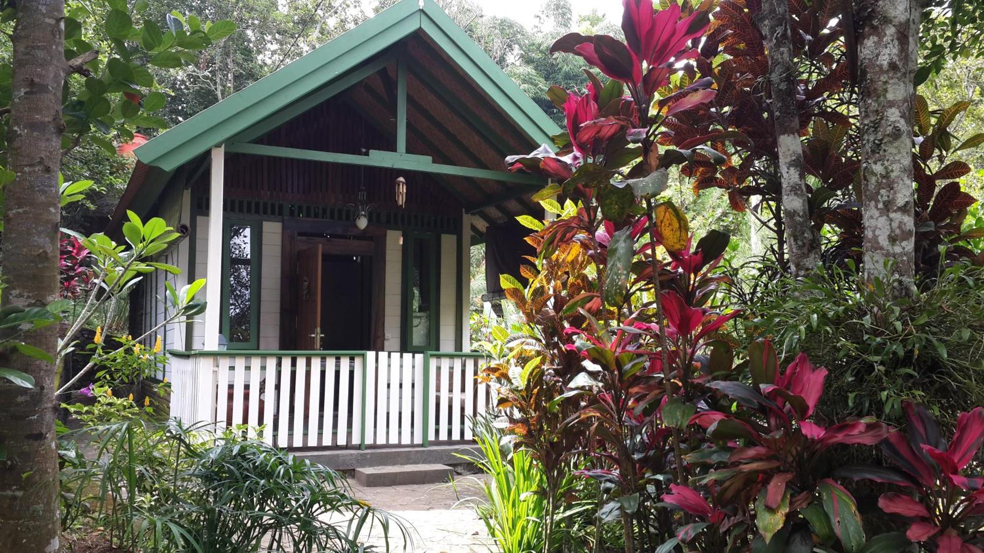 Mi Casa - The Gem Of Ijen Hotel Banyuwangi  Exterior foto