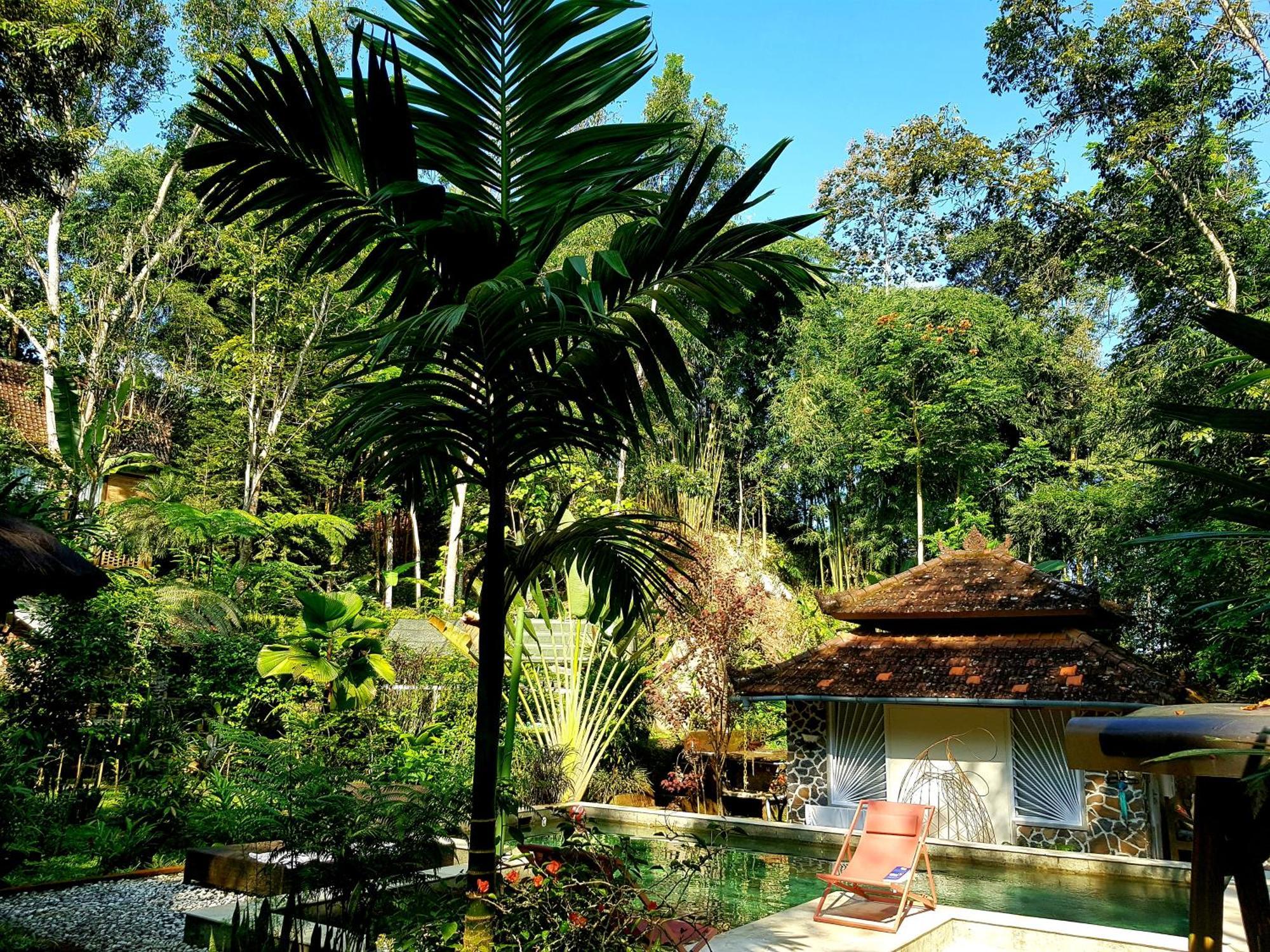 Mi Casa - The Gem Of Ijen Hotel Banyuwangi  Exterior foto