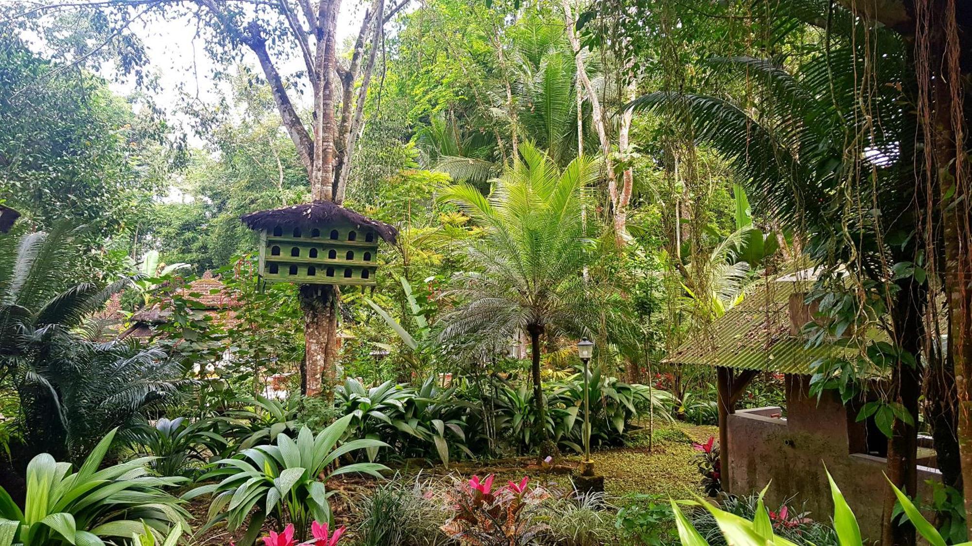 Mi Casa - The Gem Of Ijen Hotel Banyuwangi  Exterior foto