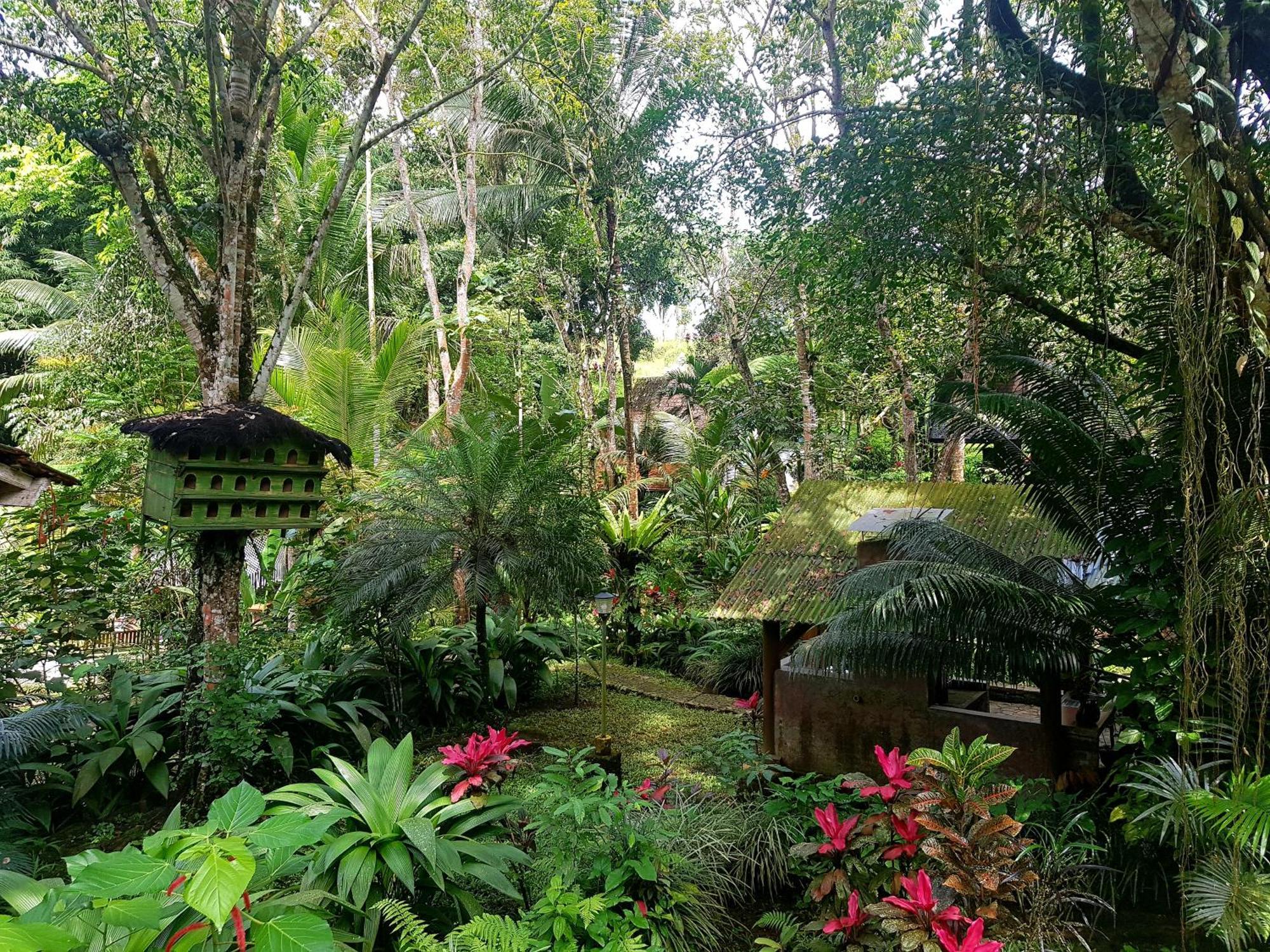 Mi Casa - The Gem Of Ijen Hotel Banyuwangi  Exterior foto