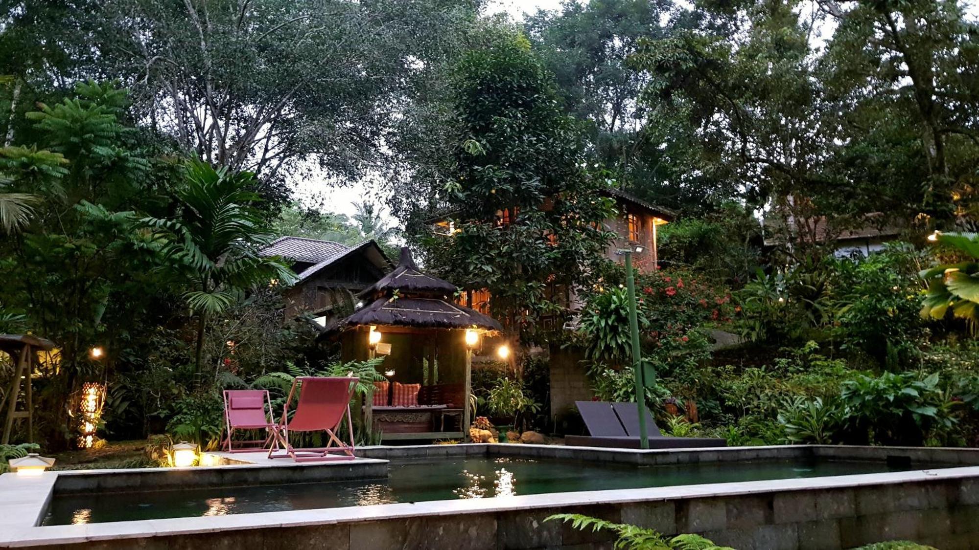 Mi Casa - The Gem Of Ijen Hotel Banyuwangi  Exterior foto