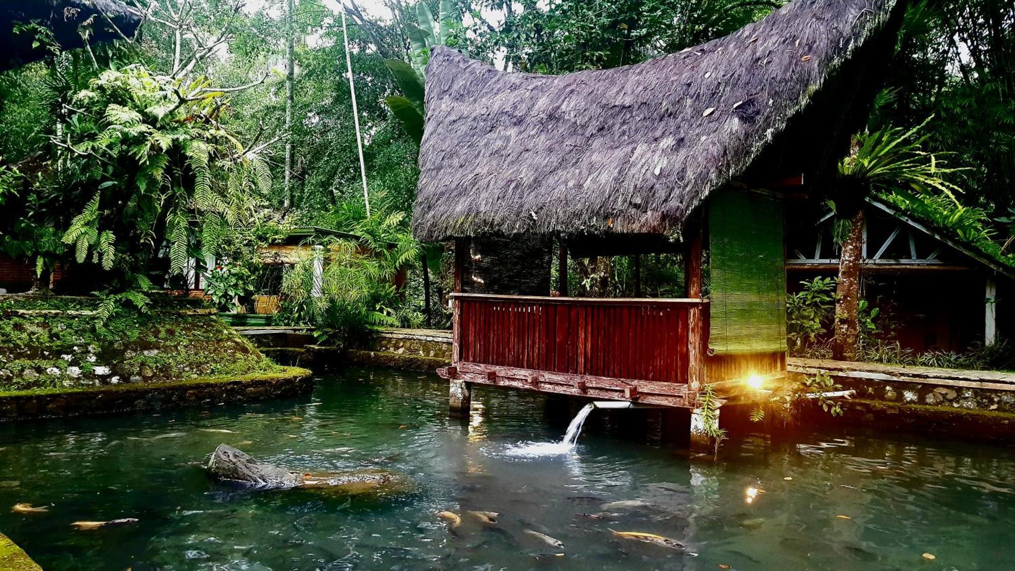 Mi Casa - The Gem Of Ijen Hotel Banyuwangi  Exterior foto