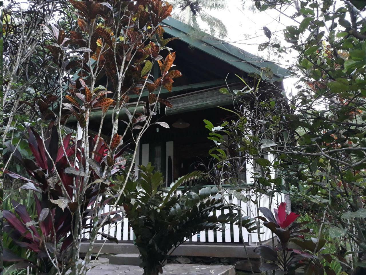Mi Casa - The Gem Of Ijen Hotel Banyuwangi  Exterior foto
